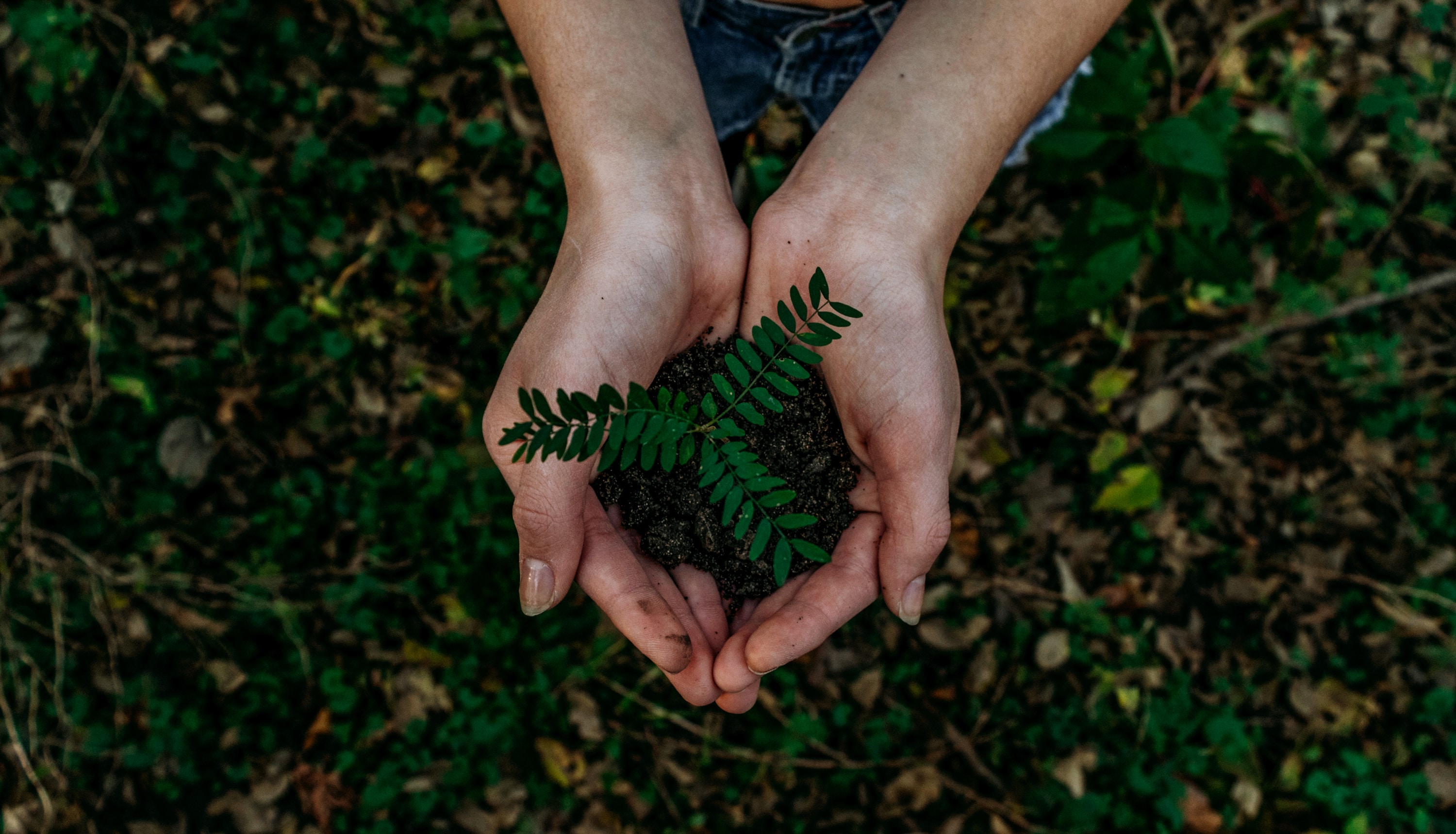 Экология негіздері және өмір тіршілігінің қауіпсіздігі ENOTK_KZ_01